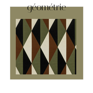 Leçon de géométrie