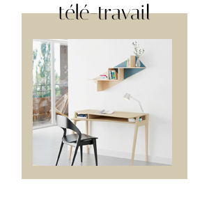 Télé-travail